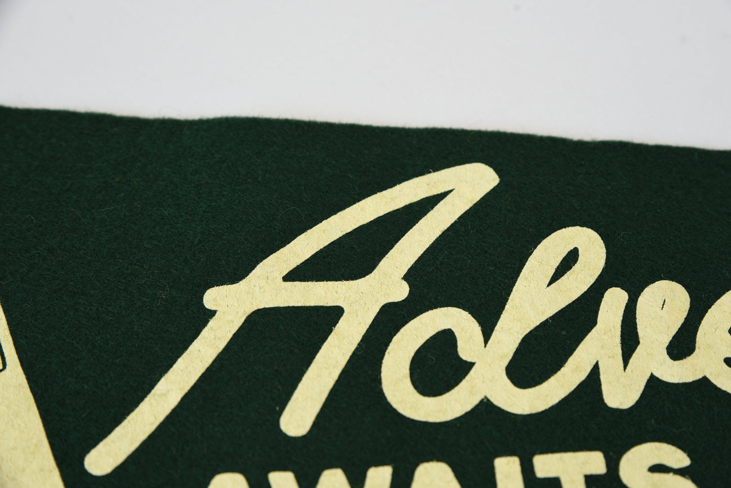 Figgy Adventure Awaits Pennant-kids-couch