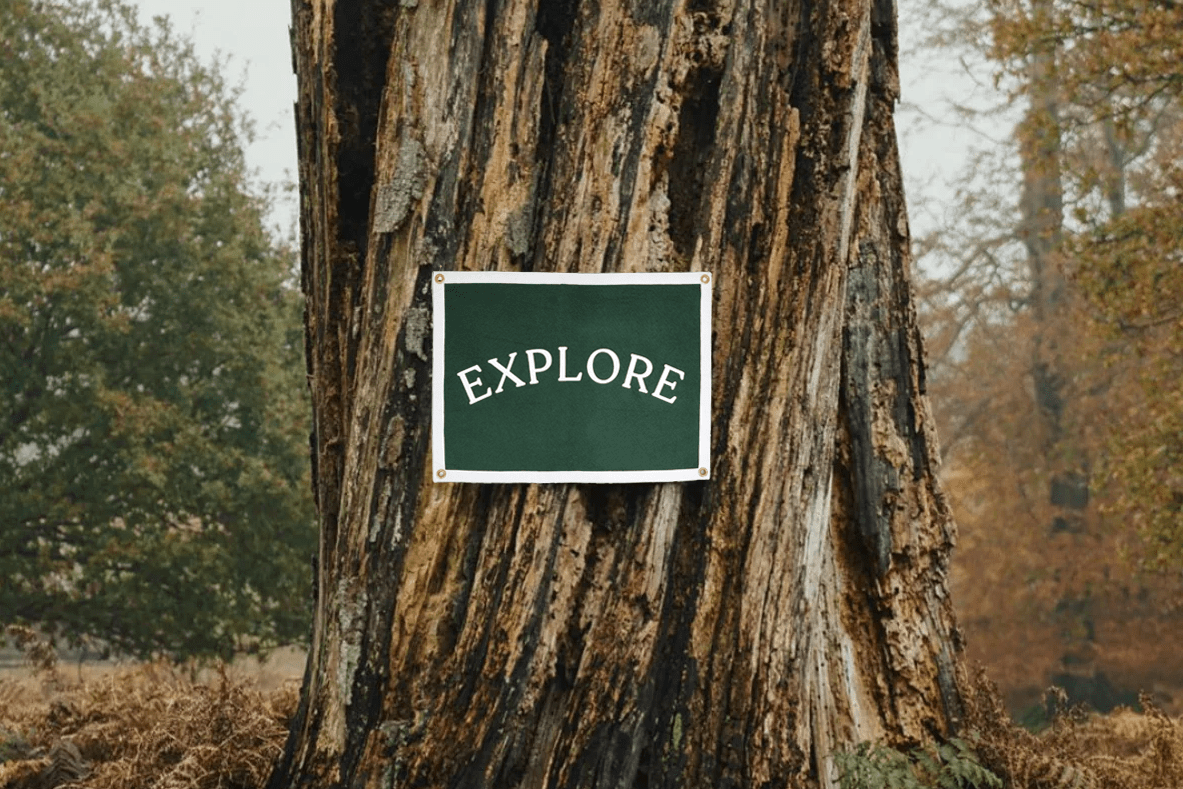 Figgy Explore Camp Flag-kids-couch