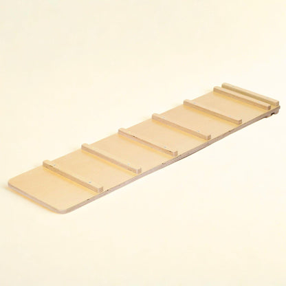 Reversible Climbing Ramp