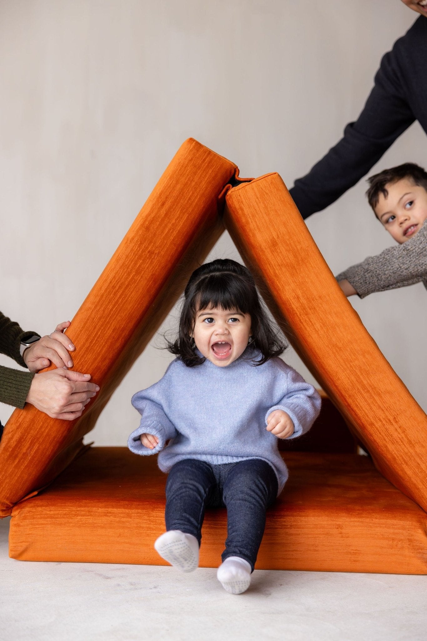 Figgy in living room